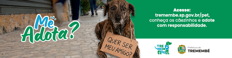 Adoção